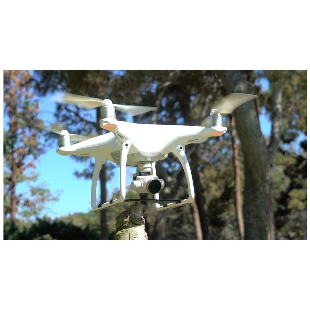 DJI Phantom 4 Protector de Gimbal PolarPro (1)