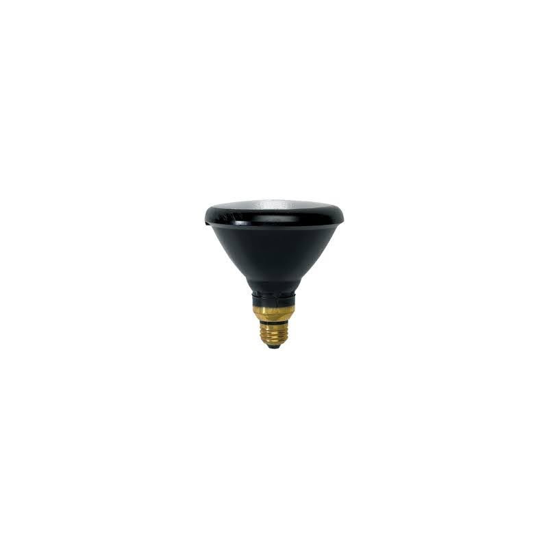 sylvania-68846-mercury-vapor-black-light (1)