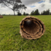 Estera de junco tapete de junco - Thumbnail Image 7